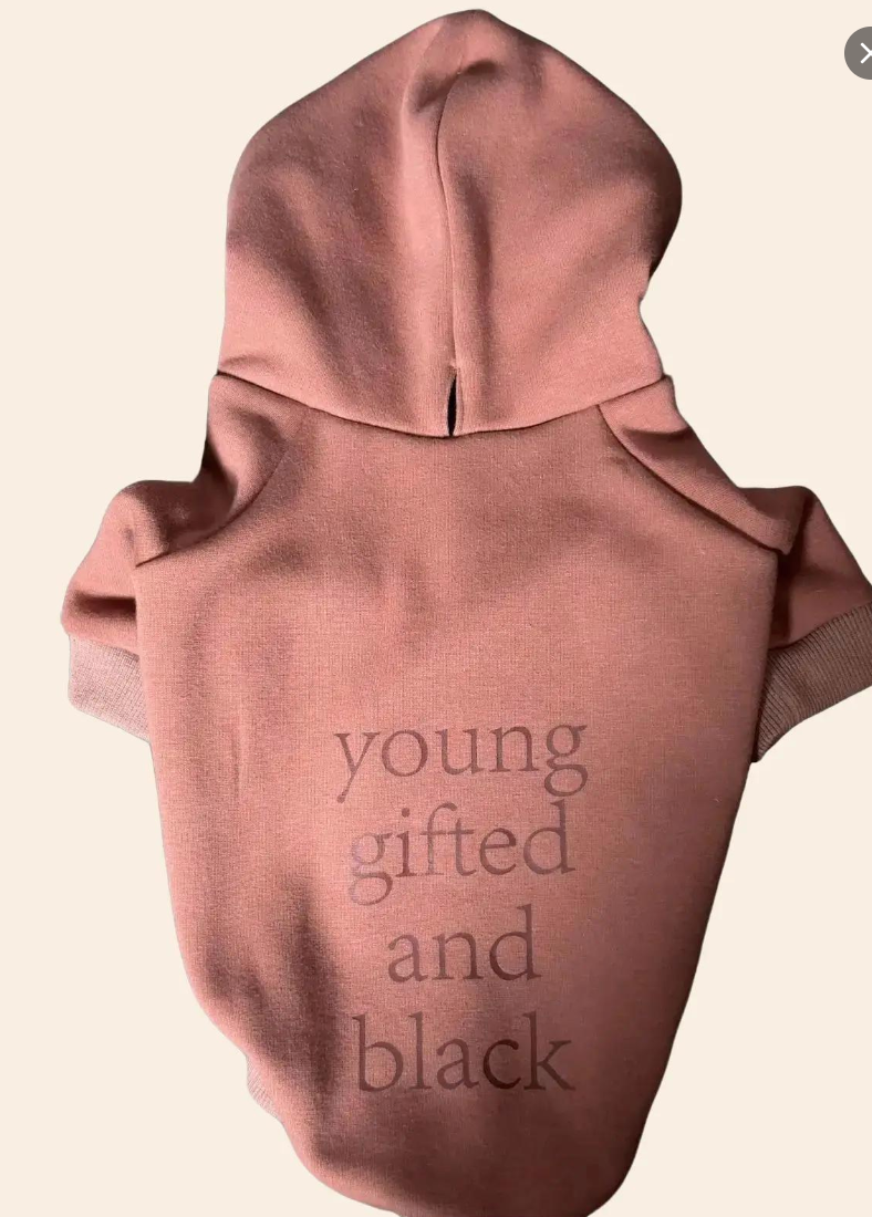 Brixton 1 Hoodie