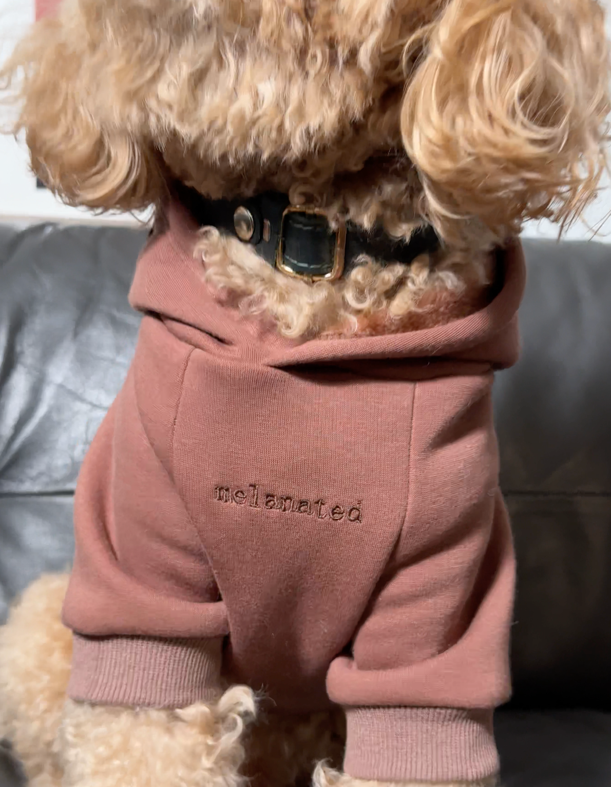 Brixton 1 Hoodie