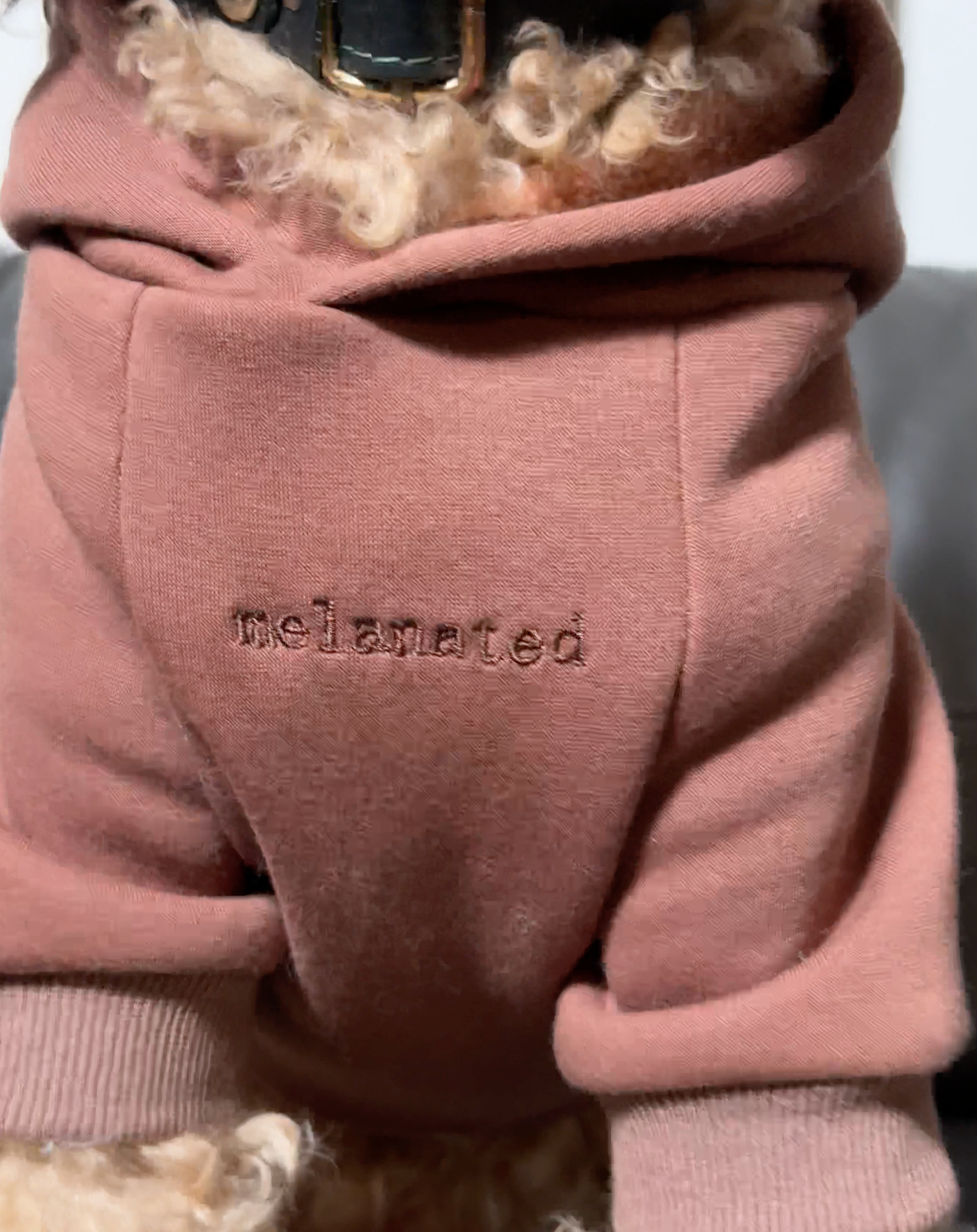 Brixton 1 Hoodie