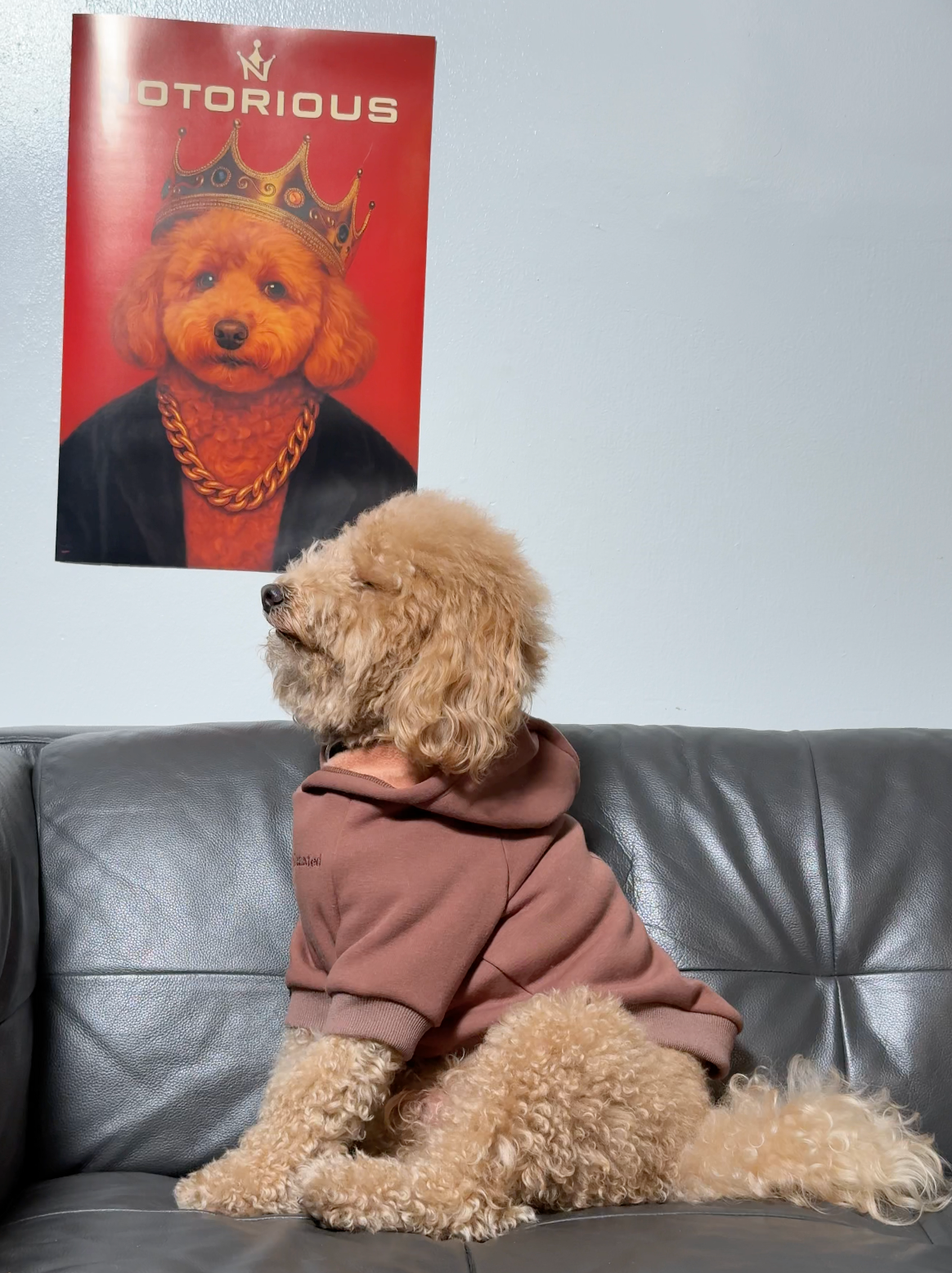 Brixton 1 Hoodie