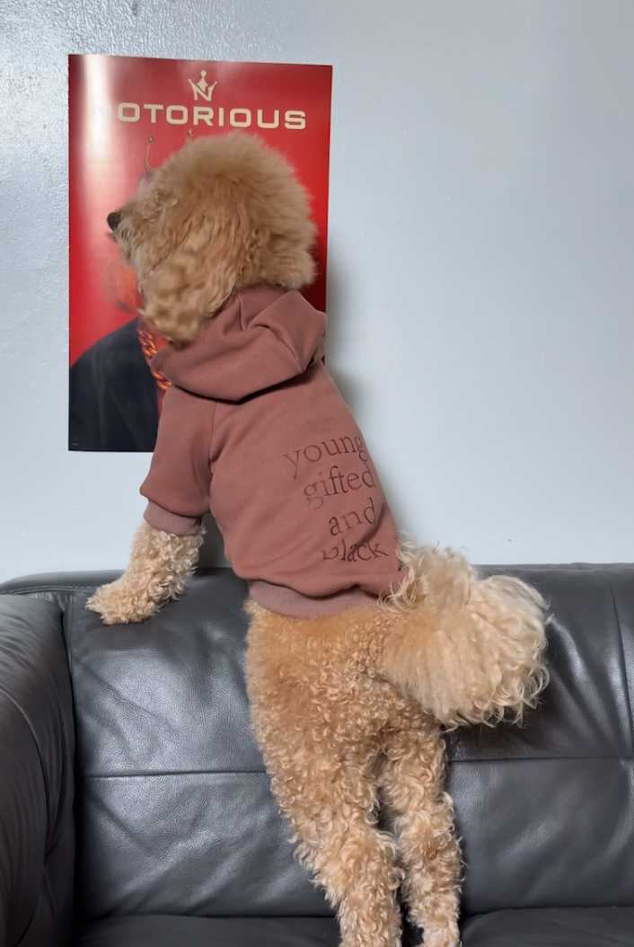 Brixton 1 Hoodie