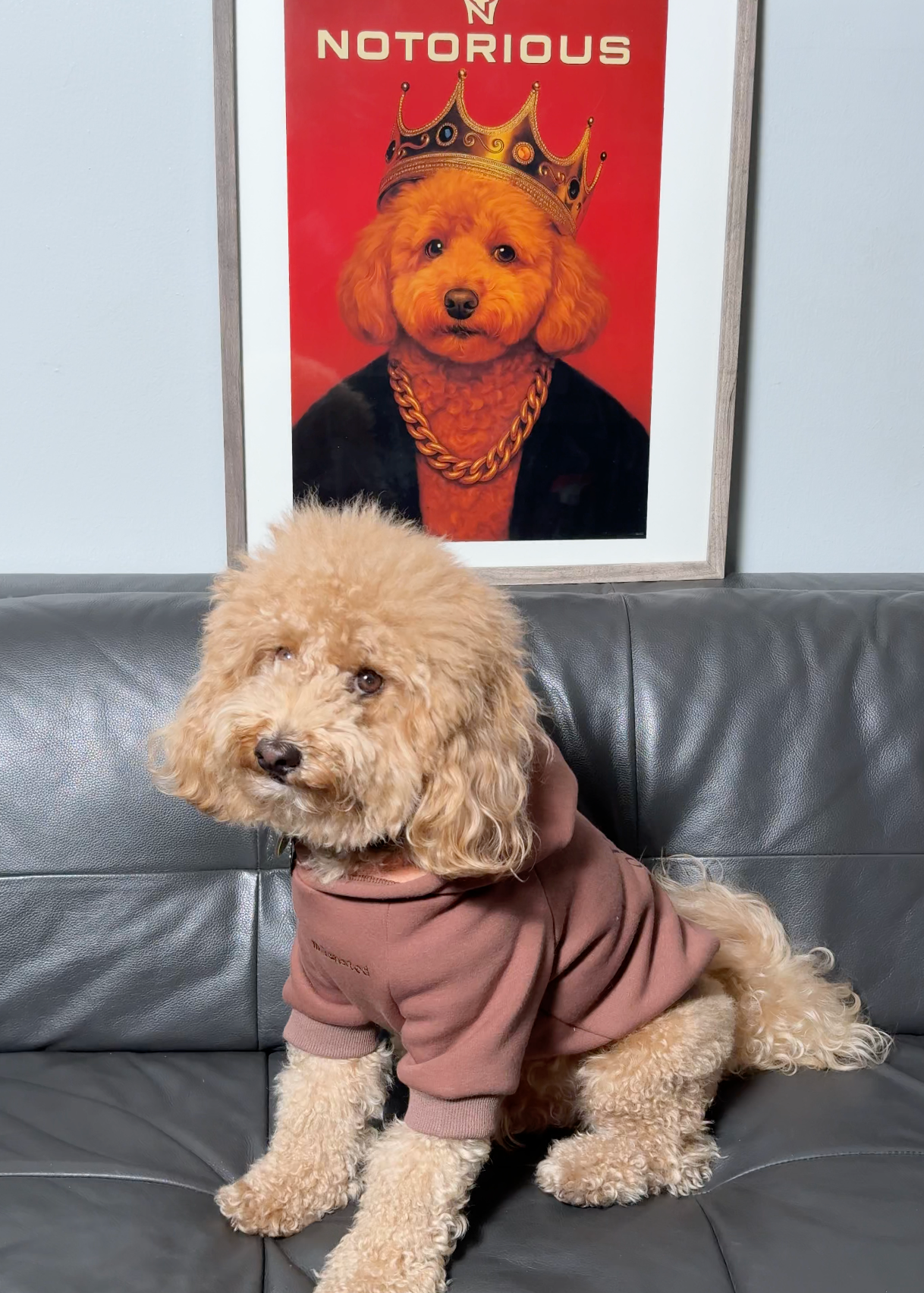 Brixton 1 Hoodie